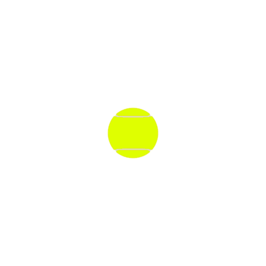 Motion 016