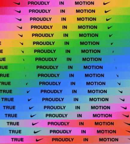 Motion 019