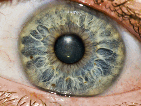 VFX 001
